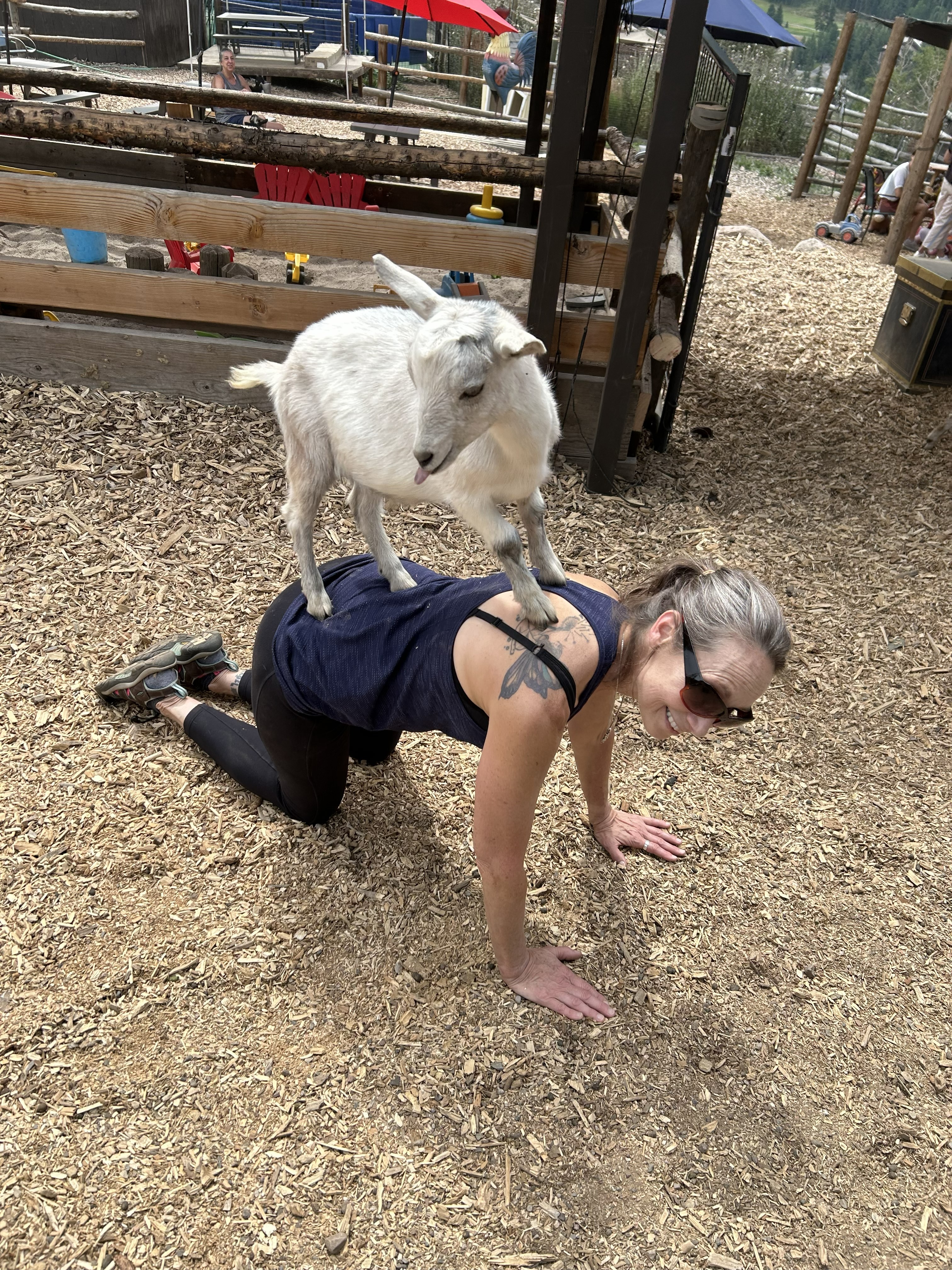 Goat yoga event with Soul Clarity Yoga